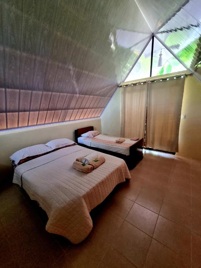 Ballena Oasis Homes & Glamping Uvita Eksteriør billede