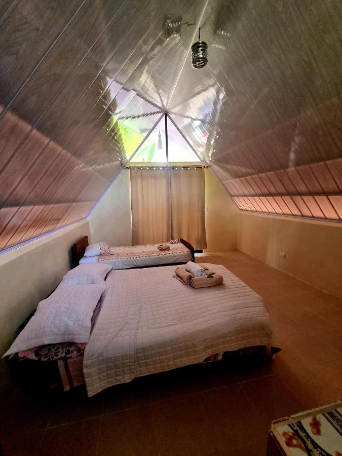Ballena Oasis Homes & Glamping Uvita Eksteriør billede