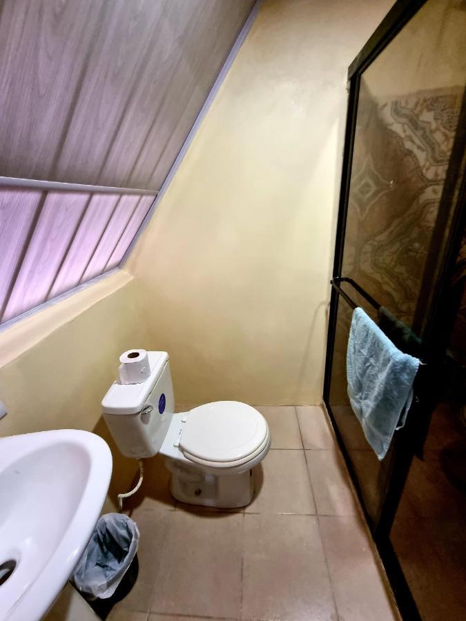 Ballena Oasis Homes & Glamping Uvita Eksteriør billede