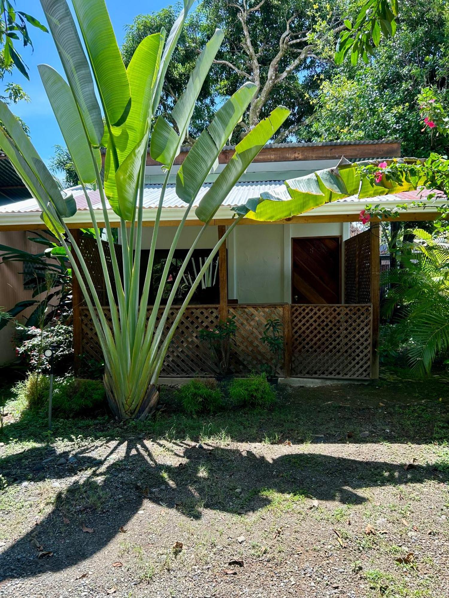 Ballena Oasis Homes & Glamping Uvita Eksteriør billede