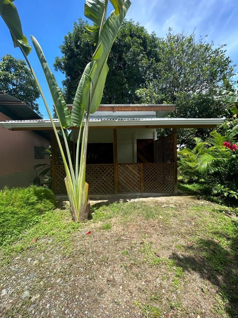 Ballena Oasis Homes & Glamping Uvita Eksteriør billede
