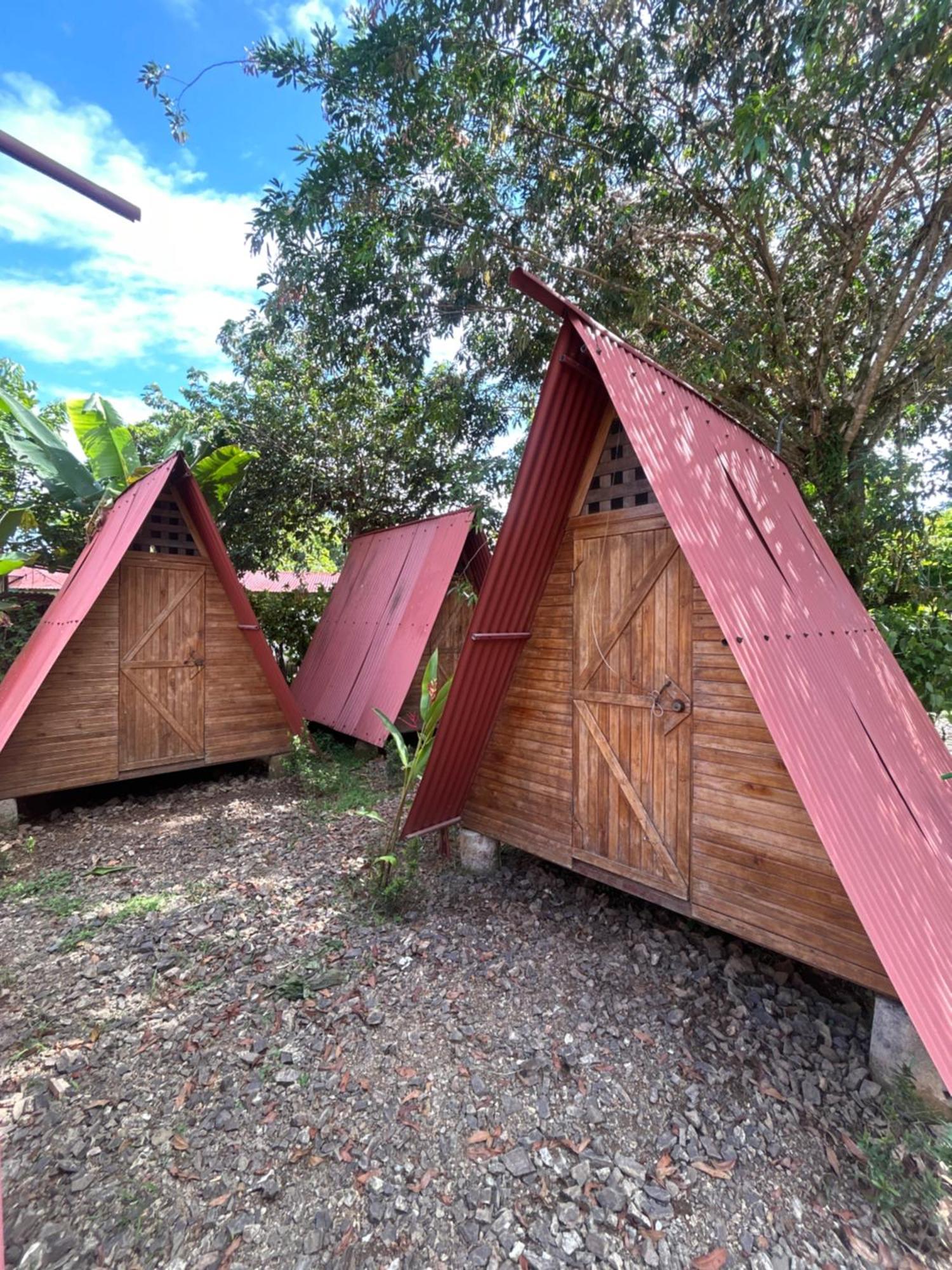 Ballena Oasis Homes & Glamping Uvita Eksteriør billede