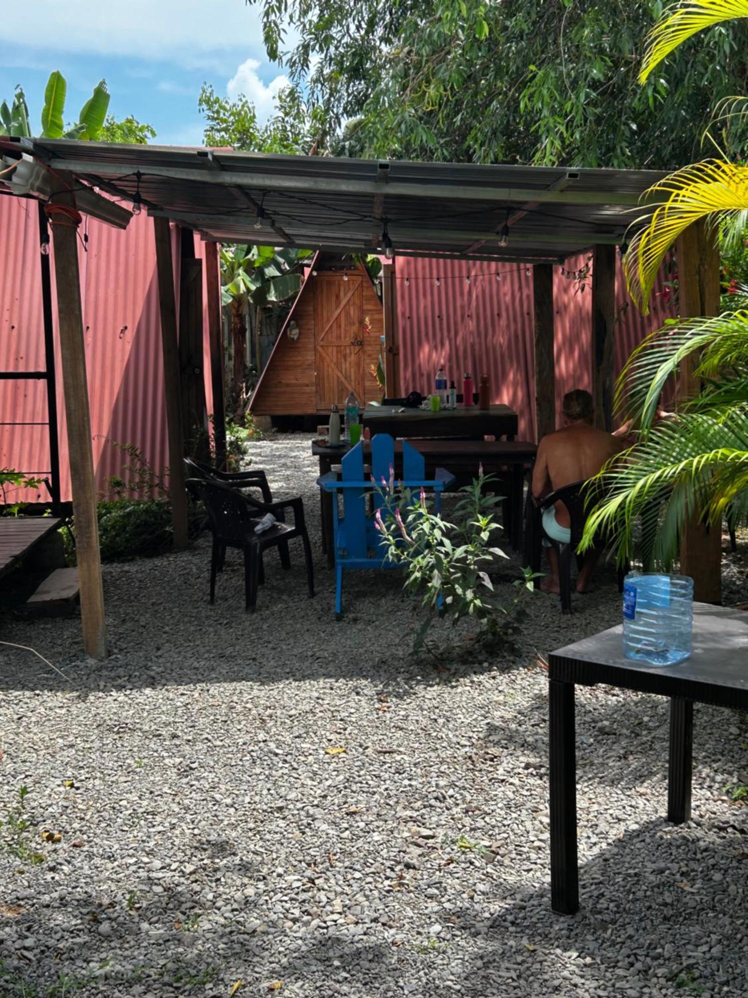 Ballena Oasis Homes & Glamping Uvita Eksteriør billede